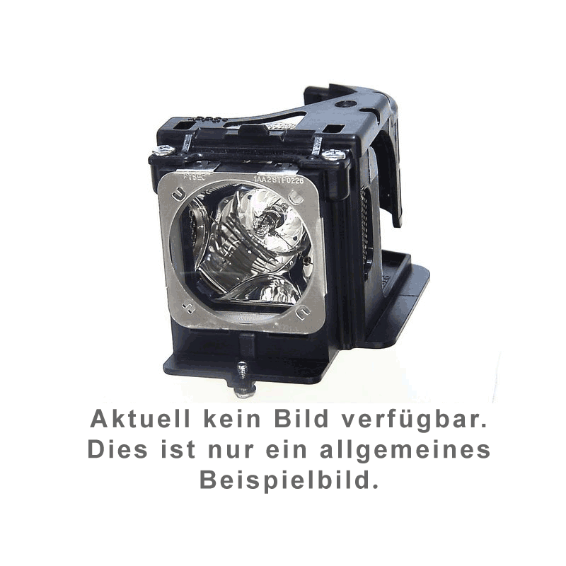 Beamerlampe OPTOMA SP.81G01.001