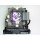 Ersatzlampe für VIVITEK D950HD