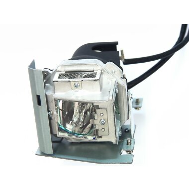 Ersatzlampe für VIVITEK D516