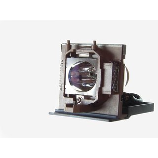 Replacement Lamp for MEDION MD30055