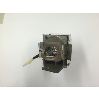 Ersatzlampe für Viewsonic PJD5533W