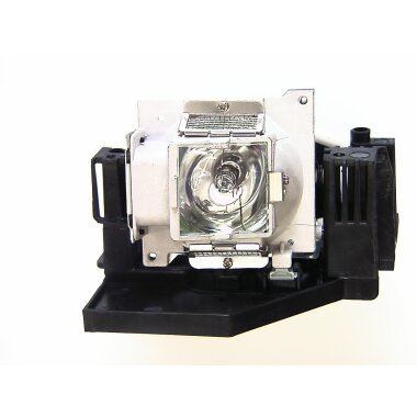 Ersatzlampe für DELTA DP 3636