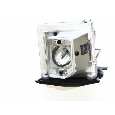 Ersatzlampe für OPTOMA DM161