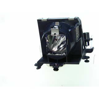 Replacement Lamp for 3D PERCEPTION SX25+E