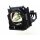 Ersatzlampe für PANASONIC PT-DW10000