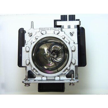 Ersatzlampe für PANASONIC PT-DZ110XE (Twin Pack)