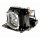 Beamerlampe DUKANE 456-8794H