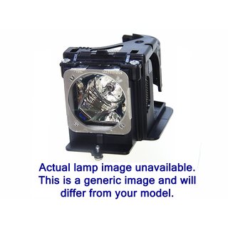 Projector Lamp DELL 725-10284