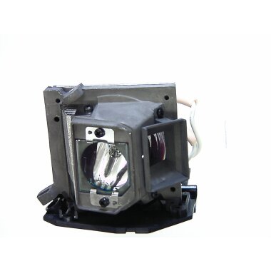 Beamerlampe ACER EC.J8100.001