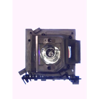 Beamerlampe ACER EC.JBG00.001