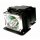 Beamerlampe NEC 50022792