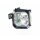 Beamerlampe EPSON ELPLP14